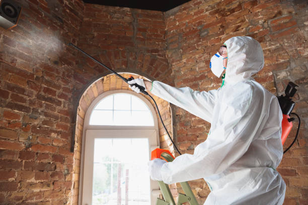 Best Biohazard Mold Removal  in Colonia, NJ